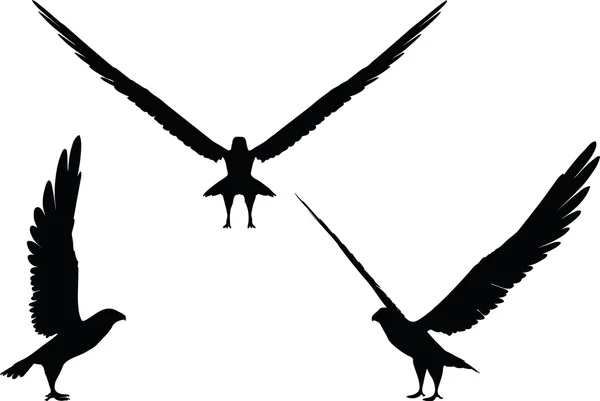 Abbildung der Adlersilhouette — Stockvektor