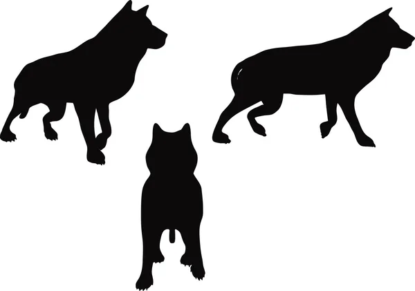 Silhouette de loup animal — Image vectorielle