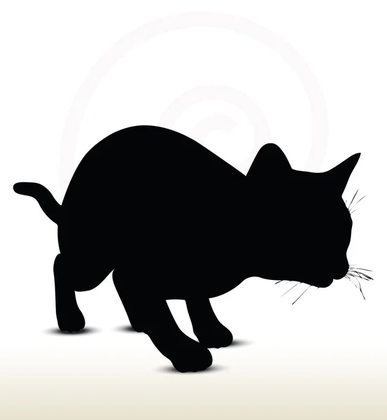 Kočičí silueta — Stockový vektor