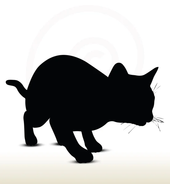 Silhouette de chat — Image vectorielle