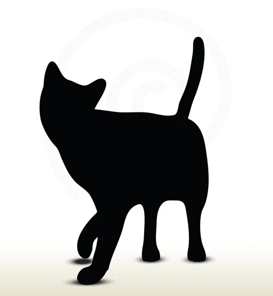 Kattensilhouet — Stockvector