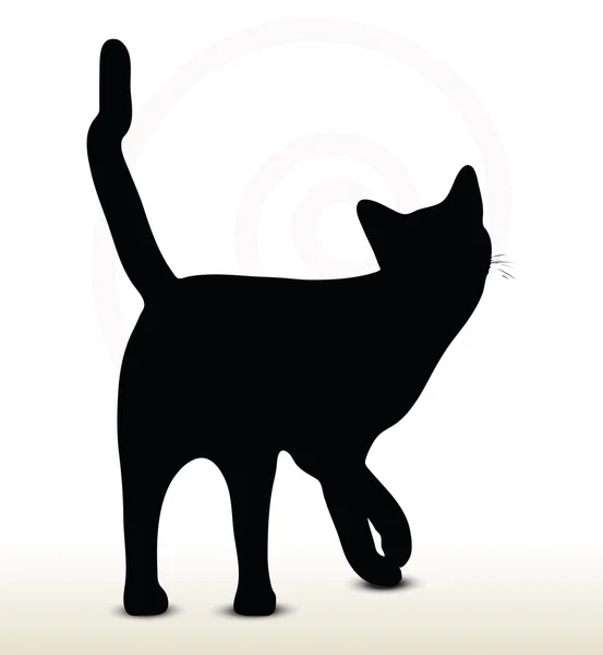 Kattensilhouet — Stockvector