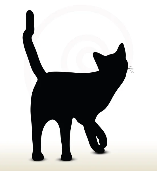 Silhouette de chat — Image vectorielle