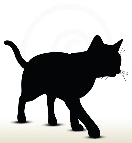 Ilustración de silueta de gato — Vector de stock