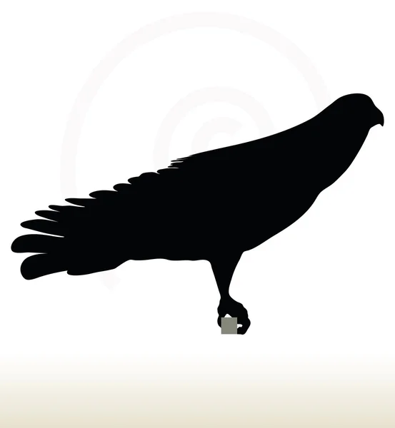 Αετός σιλουέτα — Διανυσματικό Αρχείο