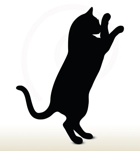 Silueta de gato — Vector de stock