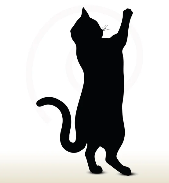 Cat silhouette — Stock Vector