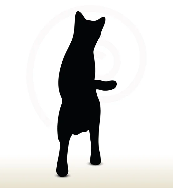 Silhouette de chat — Image vectorielle