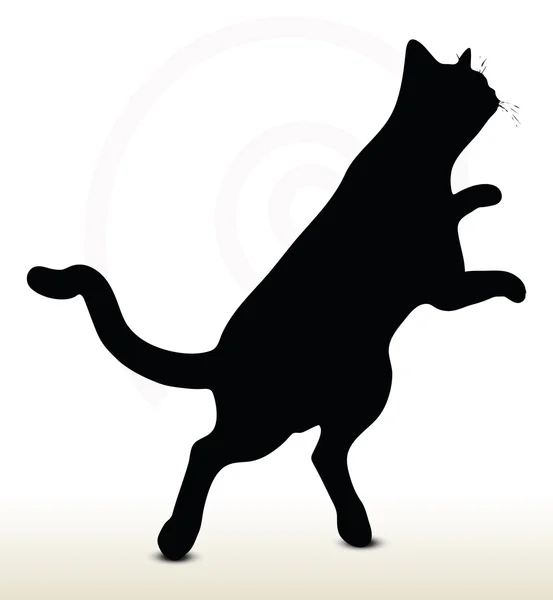 Silhouette de chat — Image vectorielle