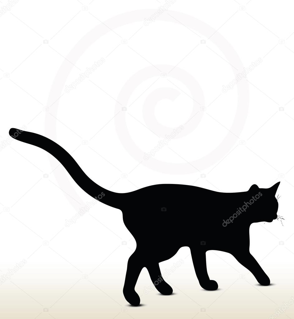 Kedi siluet çizimi Vektörel çizim ©Istanbul2009 Vektörel 54462301