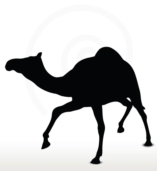 Camel in Trotting pose — Stock Vector