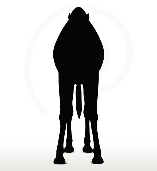 Camel in default pose — Stock Vector