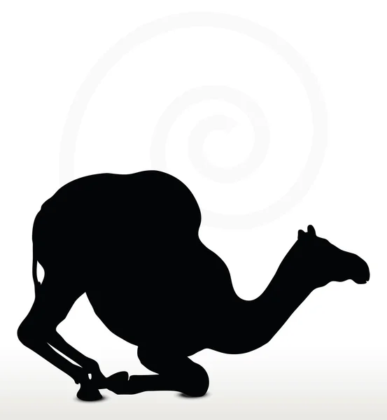 Camel in Kneeling pose — Stock Vector