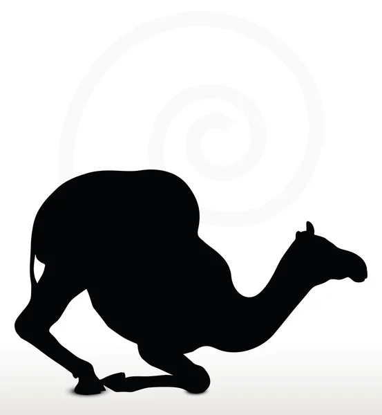 Camelo em pose ajoelhada — Vetor de Stock