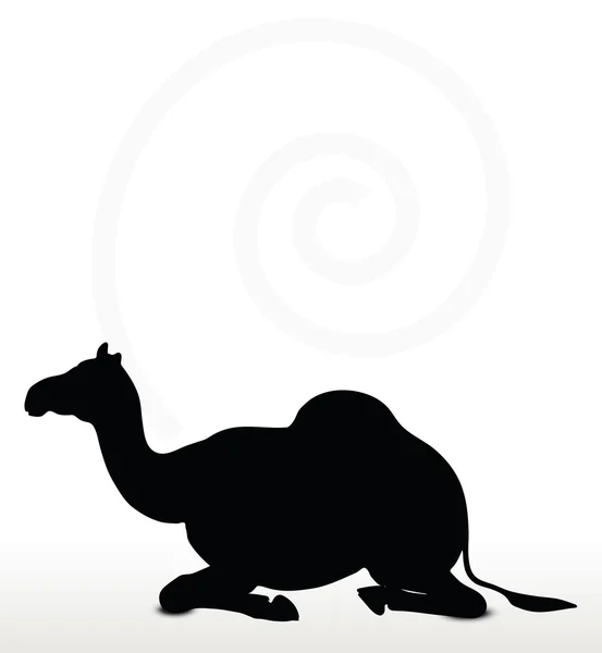 Camelo em pose sentada — Vetor de Stock