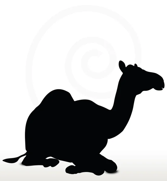 Camello en pose sentada — Vector de stock
