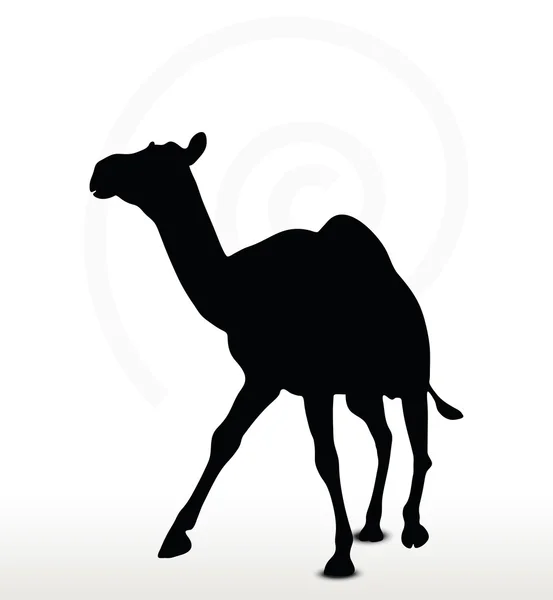 骆驼在小跑的姿势 — 图库矢量图片