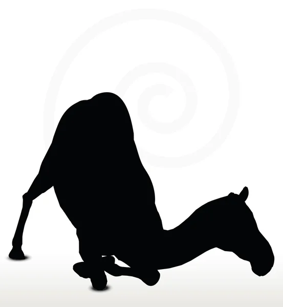 Camello en pose de descarga — Vector de stock
