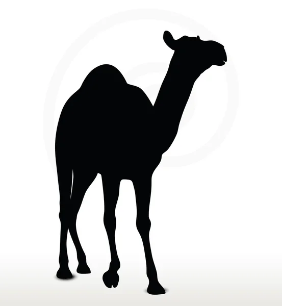 Camel in Walking pose — Stock Vector