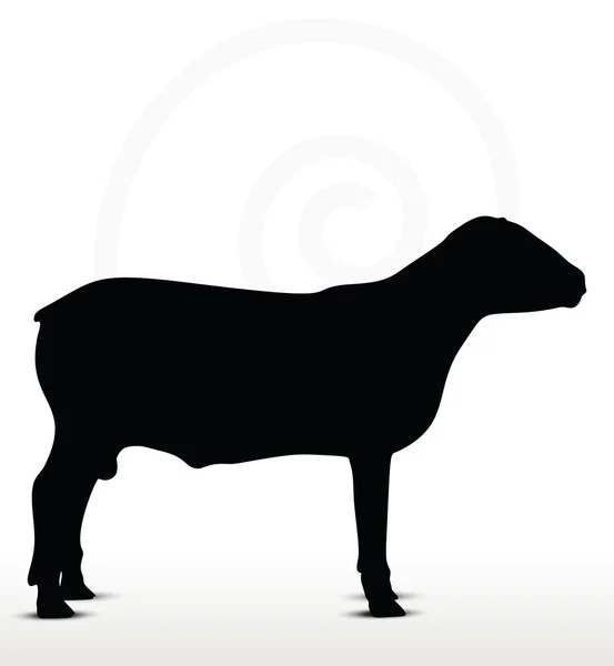 Silhouette de mouton avec pose immobile debout — Image vectorielle