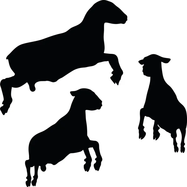 Silhouette de mouton avec pose sautante — Image vectorielle