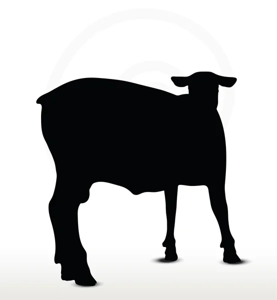 Silhouette de mouton avec pose immobile debout — Image vectorielle