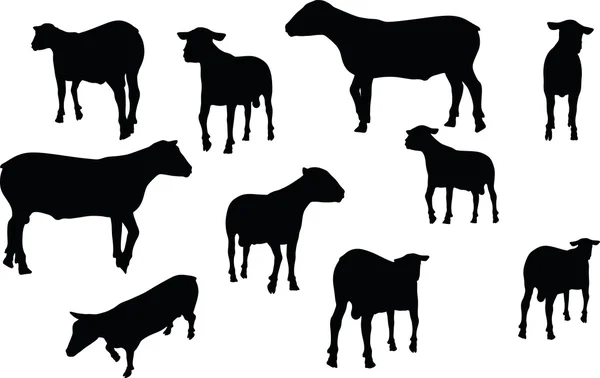 Sheep silhouette with walking pose — Stock Vector