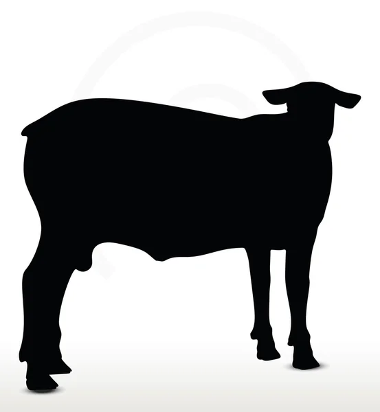 Silhouette di pecora con posa alla ricerca — Vettoriale Stock