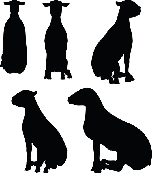 Silhouette de mouton avec pose assise — Image vectorielle