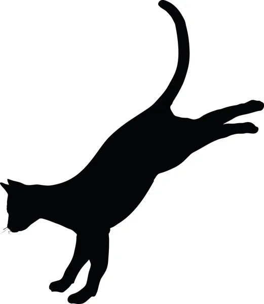 Siluet Kucing - Stok Vektor