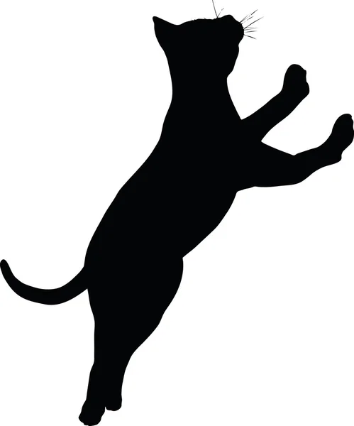 Kattensilhouet — Stockvector