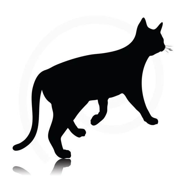 Cat silhouette — Vector de stoc