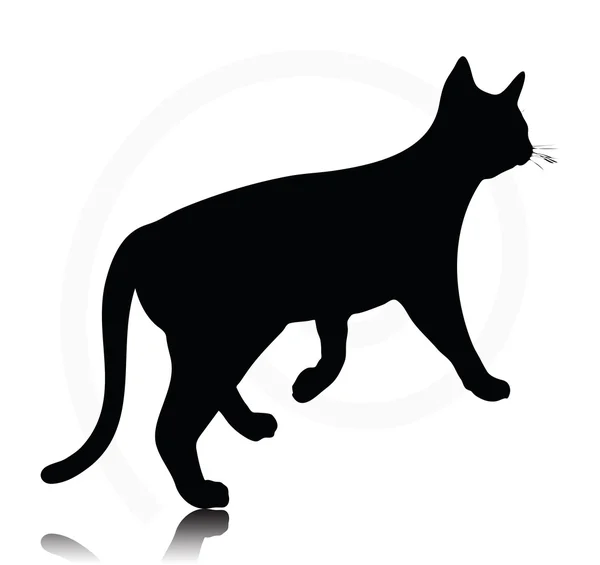 Silhouette gatto — Vettoriale Stock