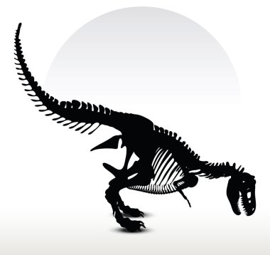 dinozorlar trex iskelet