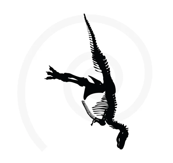恐竜 trex スケルトン — ストックベクタ