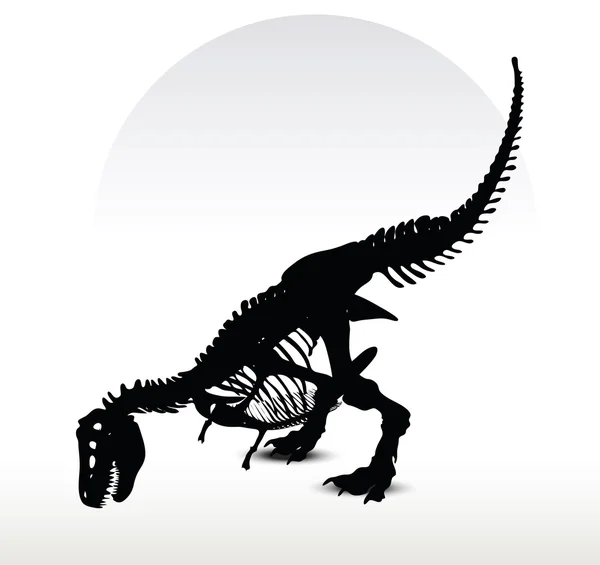 Dinosaurs trex skeleton — Stock Vector