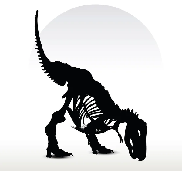 Dinosaurs trex skeleton — Stock Vector