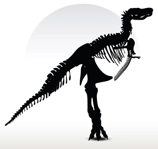 Dinosaurs trex skeleton — Stock Vector