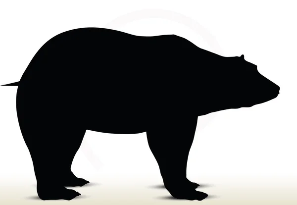 白色背景上的动物熊剪影 — 图库矢量图片