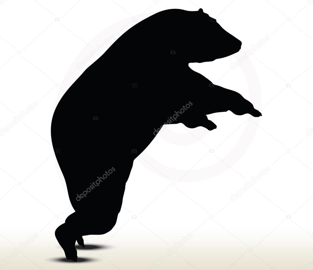 Animal bear silhouette on white background Stock Vector by ©Istanbul2009  73032863, image size:1023x883