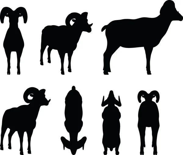 Big horn sheep  silhouette in standing  pose — Stock Vector