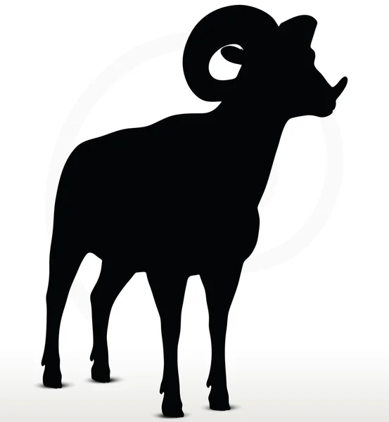 Big horn sheep  silhouette in standing  pose — Stock Vector