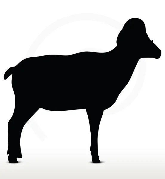Grande silhouette de mouton de corne en pose debout — Image vectorielle