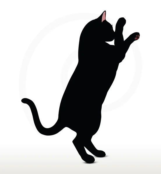 Silueta de gato en pose de boxeo — Vector de stock