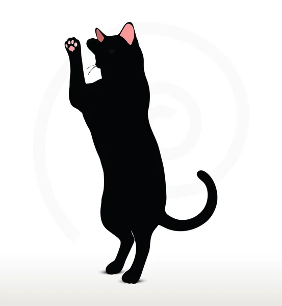 Силуэт кошки в боксёрской позе — стоковый вектор