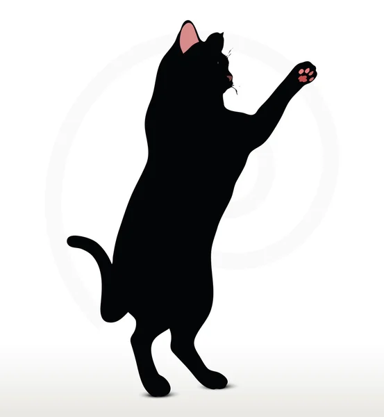 Kat silhouet in boksen pose — Stockvector