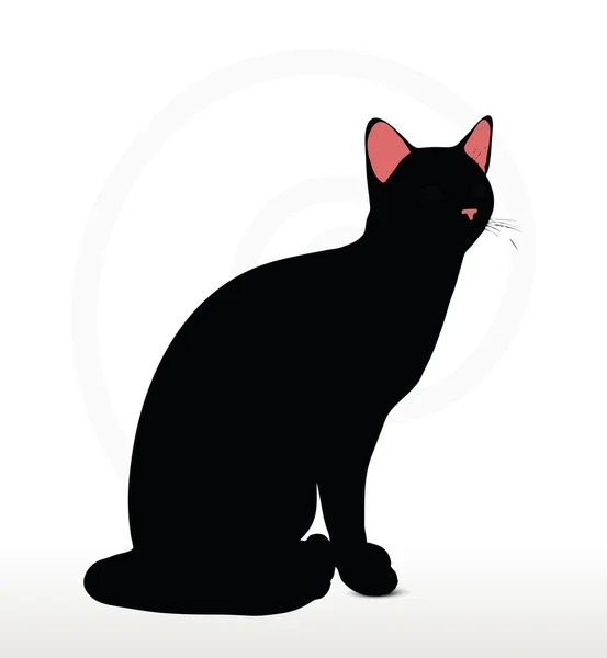 앉아있는 포즈에 고양이 실루엣 — 스톡 벡터