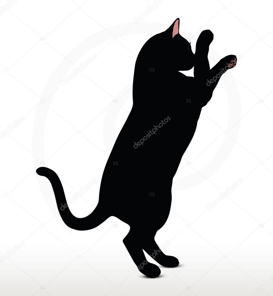 cat silhouette in Boxing pose
