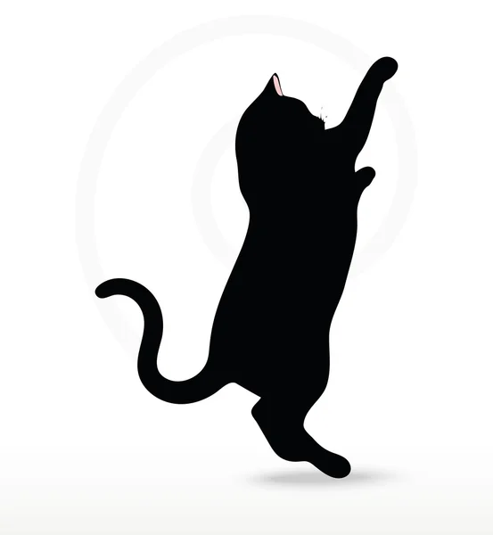 Silueta de gato en pose Reach — Vector de stock