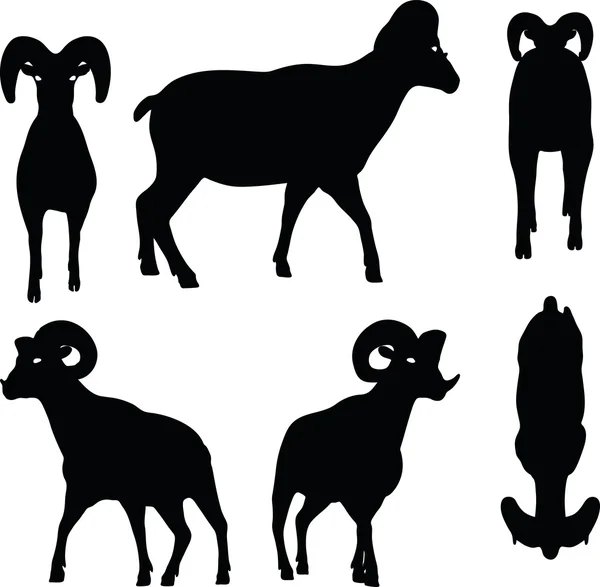 Grande corno pecore silhouette in posa a piedi — Vettoriale Stock